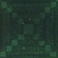 607_Grass_Green_on_silver.jpg