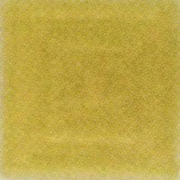 622_Pale_Golden_Brown_on_silver.jpg